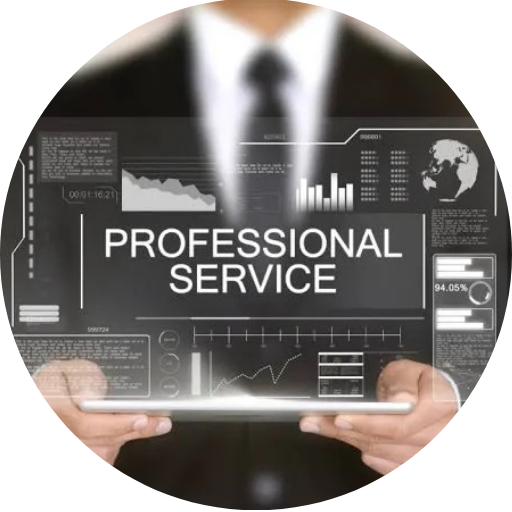 Professional Services